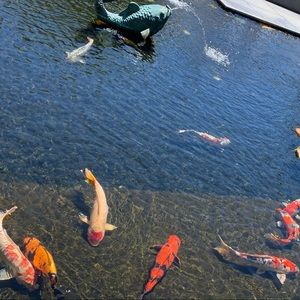 Meet your Posher, Dianna